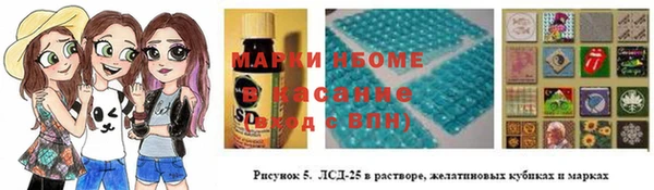гидра Новодвинск