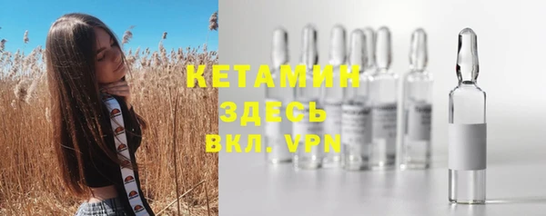 гидра Новодвинск