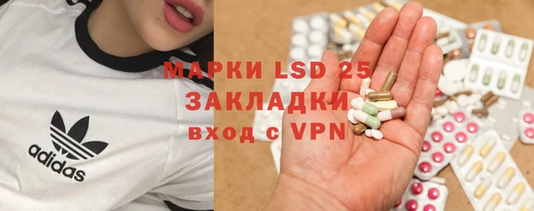 гидра Новодвинск