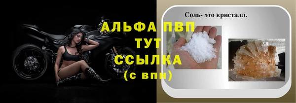 гидра Новодвинск