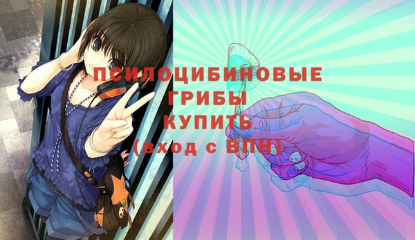 МДПВ Новокубанск
