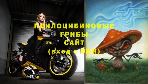 меф Дмитров