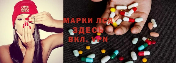 гидра Новодвинск