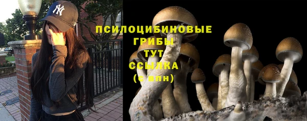 крисы Дмитровск